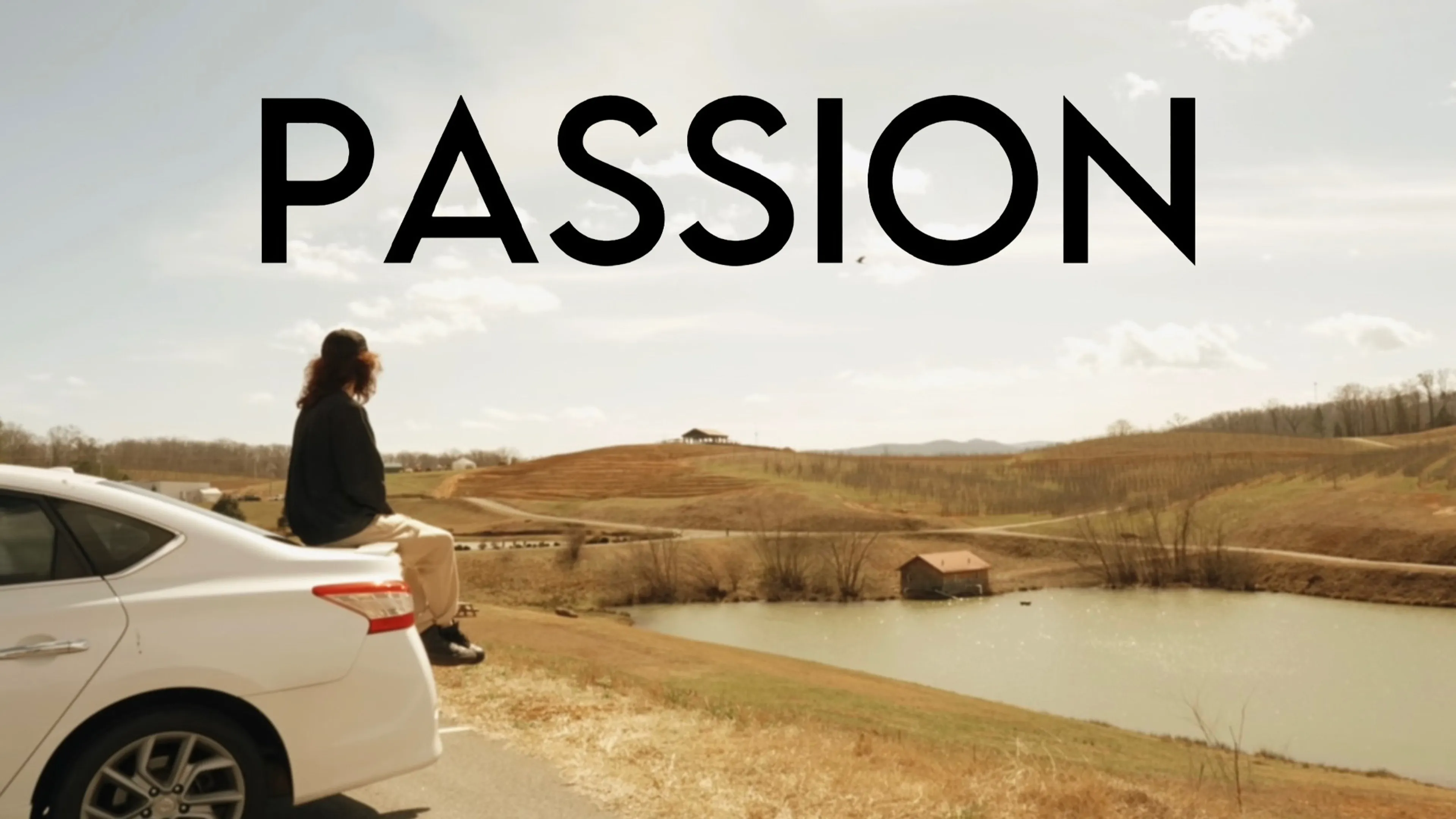 Passion poster
